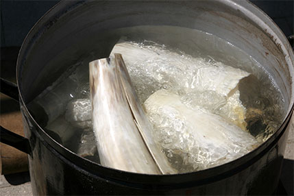 Bleaching bones